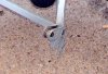 Rear Clip Bracket.jpg