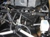 IMG_2646 small.jpg
