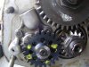 pumpgear.jpg