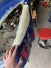 IMG_0481.jpeg