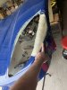 IMG_0482.jpeg