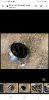 Screenshot_20230803-215937_Chrome.jpg
