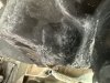 IMG_1688.jpeg