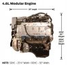 Ford-4-6-Modular-Dimensions.jpg