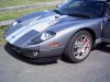 gt001.jpg