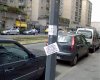DSC00013.jpg
