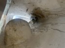 IMG_2708.jpeg