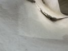 IMG_2993.jpeg
