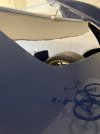 IMG_2555.jpeg