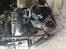 IMG_2426.jpeg