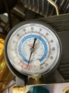 IMG_2970.jpeg