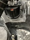 IMG_4085.jpeg