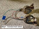 2024_06_18_GT40_horn.jpg