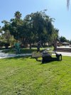 IMG_5189.jpeg