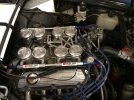 IMG_3088.jpeg
