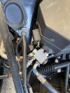 IMG_7174.jpeg