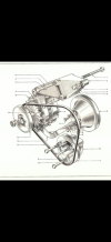 IMG_7005.png