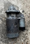 IMG_1971.jpeg