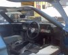 DSC00235.jpg