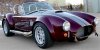 Cobra Color Correct.jpg