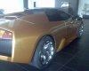 DSC00268.jpg