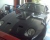 DSC00287.jpg