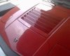 DSC00294.jpg
