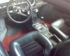 DSC00295.jpg