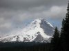 IMG_0111.jpg