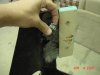 DSC00158.JPG