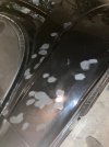 IMG_5739.jpeg