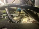 IMG_5893.jpeg
