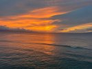 IMG_2289.jpg