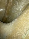 IMG_0249.jpeg