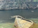 IMG_3571.jpeg