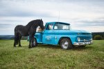 Chevy Pick Up C10.jpg