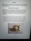 IMG_4712.jpeg
