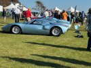 IMG_5923 (Large).JPG