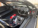 IMG_3519.jpeg