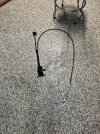 IMG_1226.jpeg
