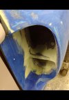 IMG_3175.jpeg