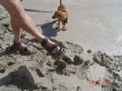 DSC04488.JPG