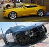 bumblebee4.jpg