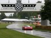 p4-5_goodwood-3.jpg