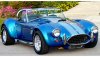 Cobra Stallion.jpg
