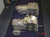 DSC01486.JPG