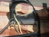 IMG_0766.jpg