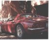 DINO Ferrari.jpg