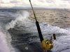 boat 001.jpg