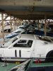 GOOdwood 10.jpg